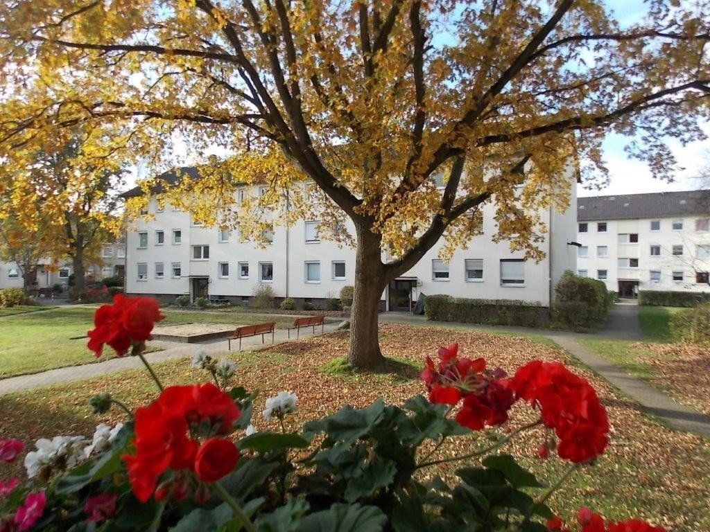 Byt 3+1 · 67 m² · Weimarer Straße 10, , Dolní Sasko - 3