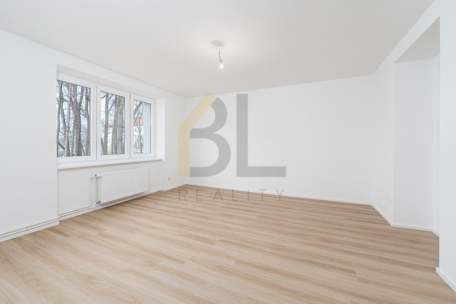 3+kk, I. Olbrachta, Hodonín, 55 m² - 2
