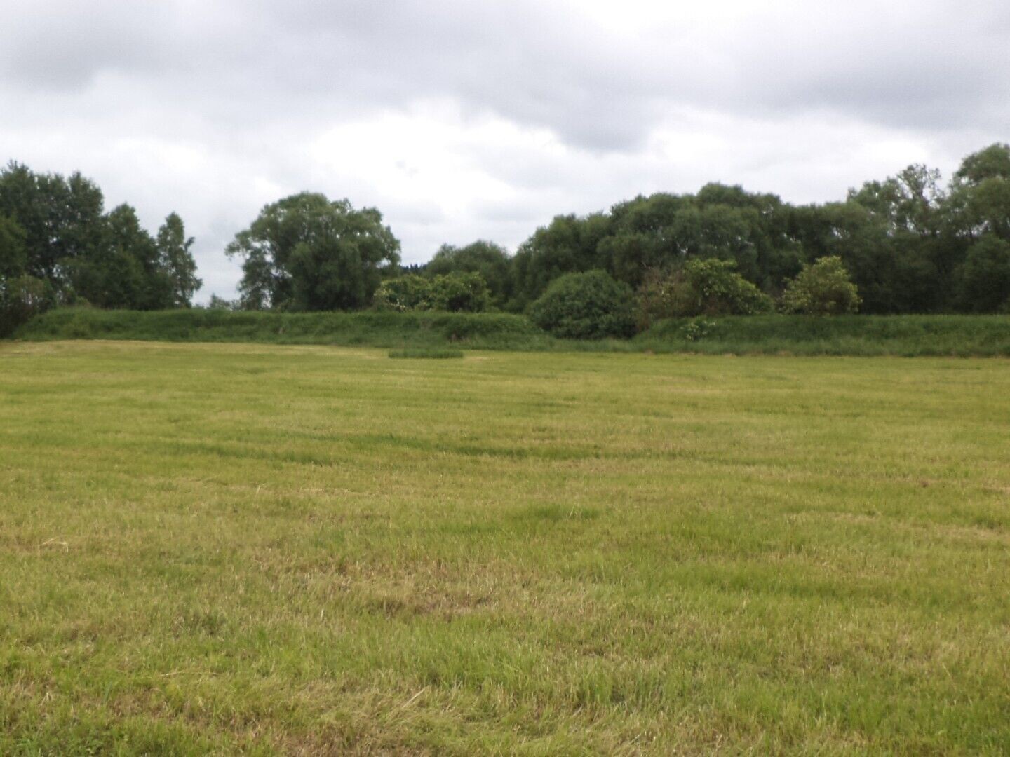 Pozemek · 2 389 m² · Chlum u Třeboně Mirochov - 4
