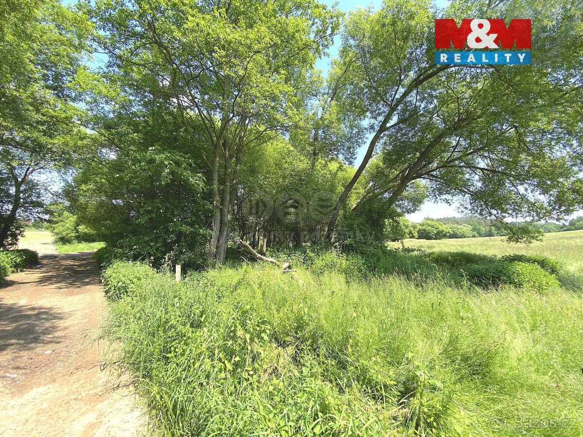 Prodej pozemek pro bydlení - Bukovany, 257 41