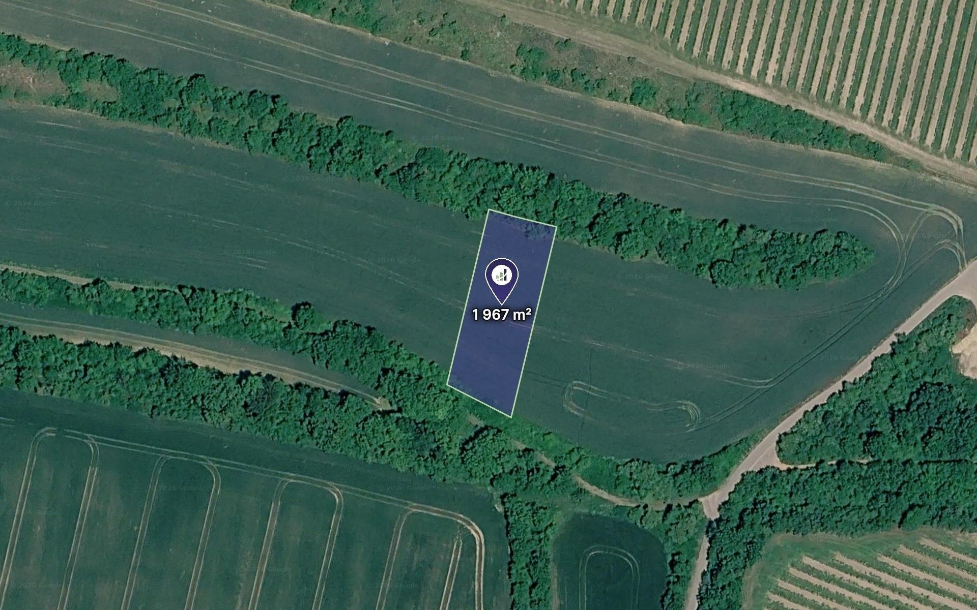 Zemědělské pozemky, Bulhary, 1 967 m² - 1