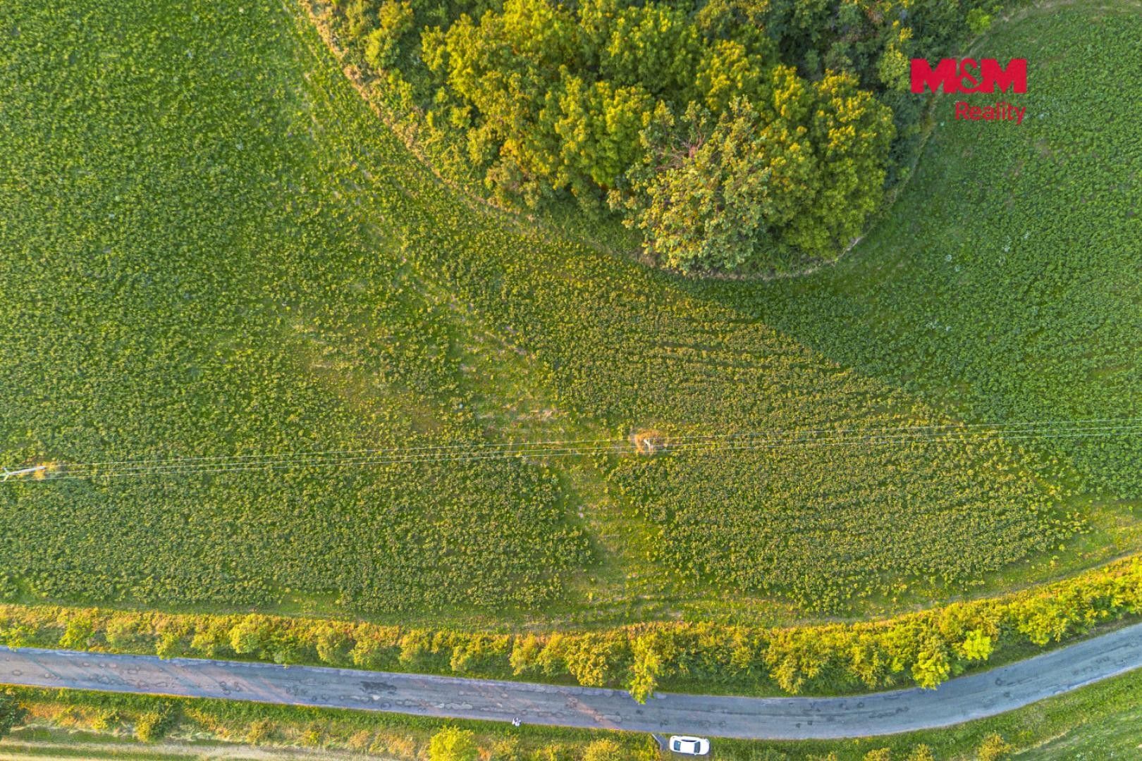 Prodej zemědělský pozemek - Žlebské Chvalovice - 5