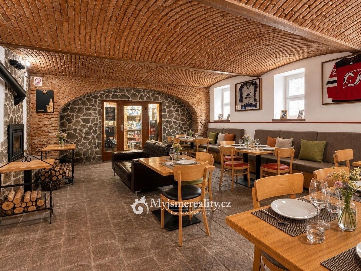 Prodej obchodní prostory - Znojmo, 669 02 - 2