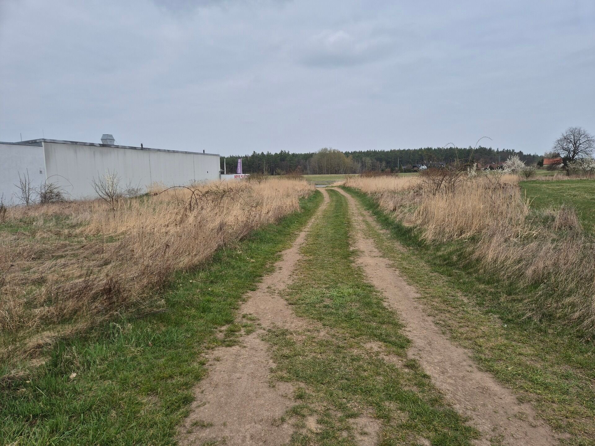 Prodej komerční pozemek - Karlovarská, Doksy, 2 917 m² - 5
