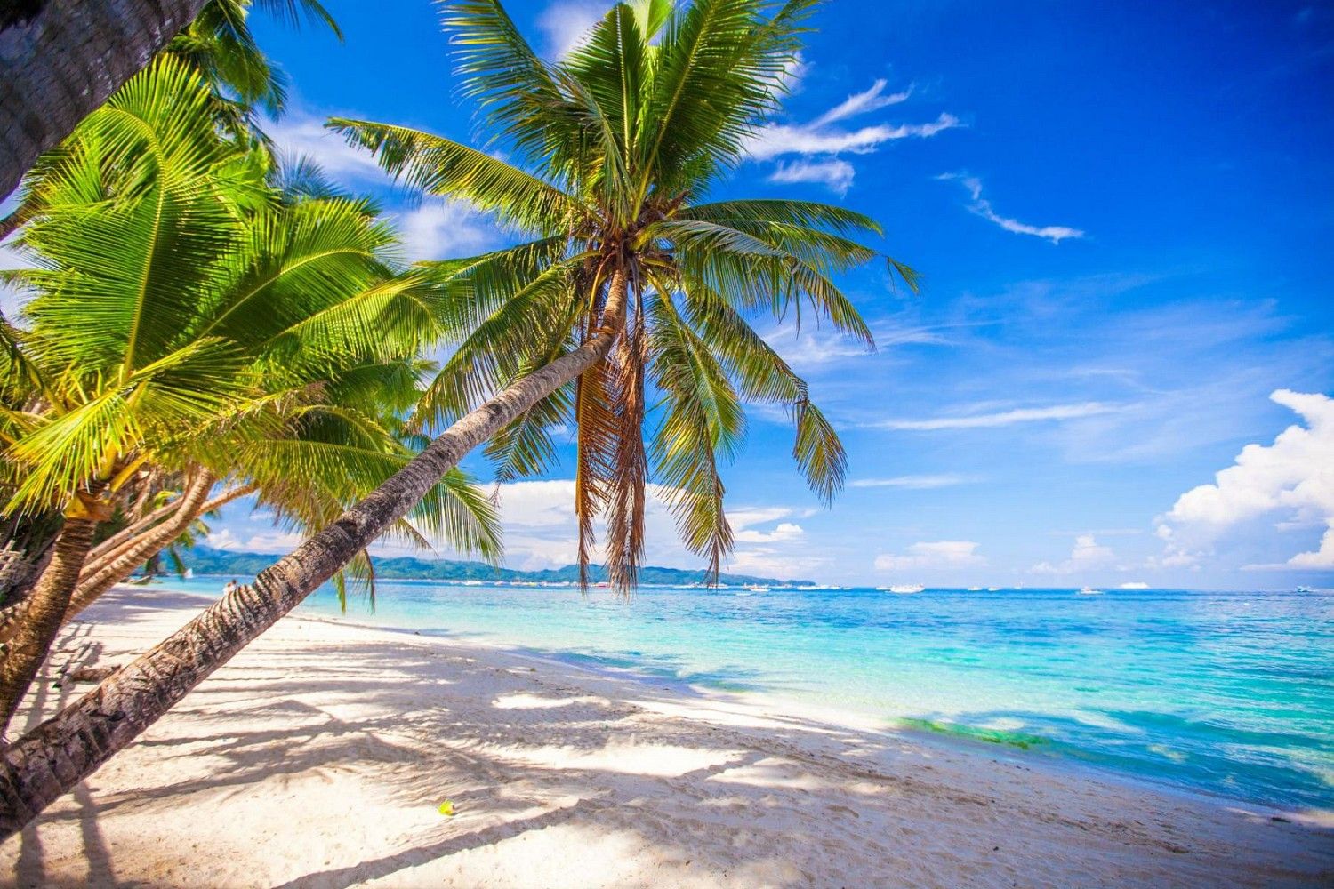 Rodinný dům · 70 m² · Samal Island, Island Garden City of Samal, Filipín, Samal Island, Island Garden City of Samal, Filipíny, Filipíny - 3