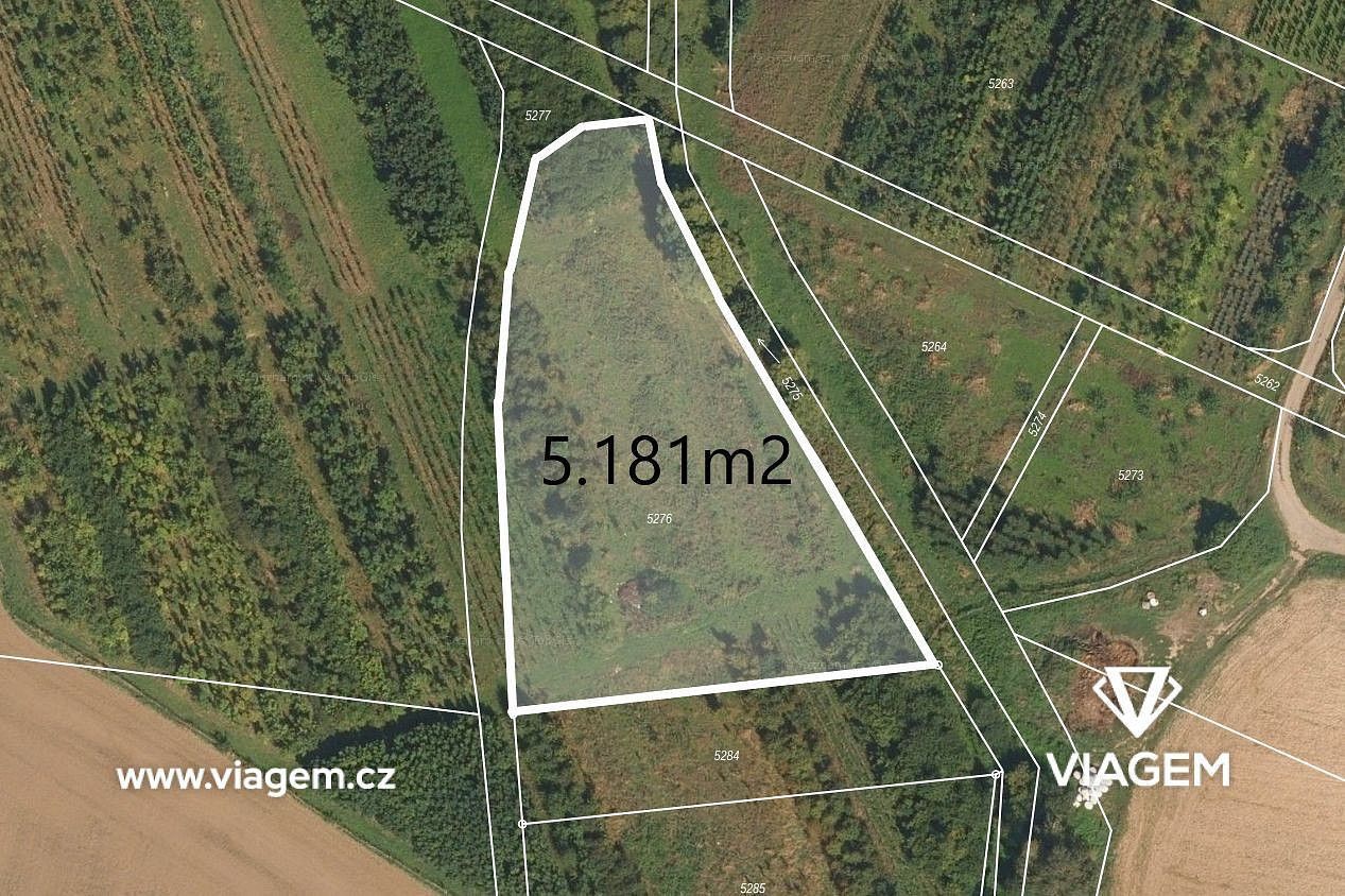 Zemědělské pozemky, Třebařov, okres Svitavy - 1