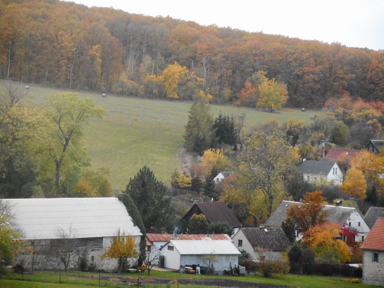 Louka · Polepy - Třebutičky, okres Litoměřice, Ústecký kraj - 4