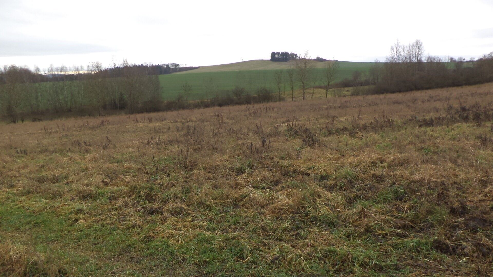 Zemědělské pozemky, Srby, 7 890 m² - 2