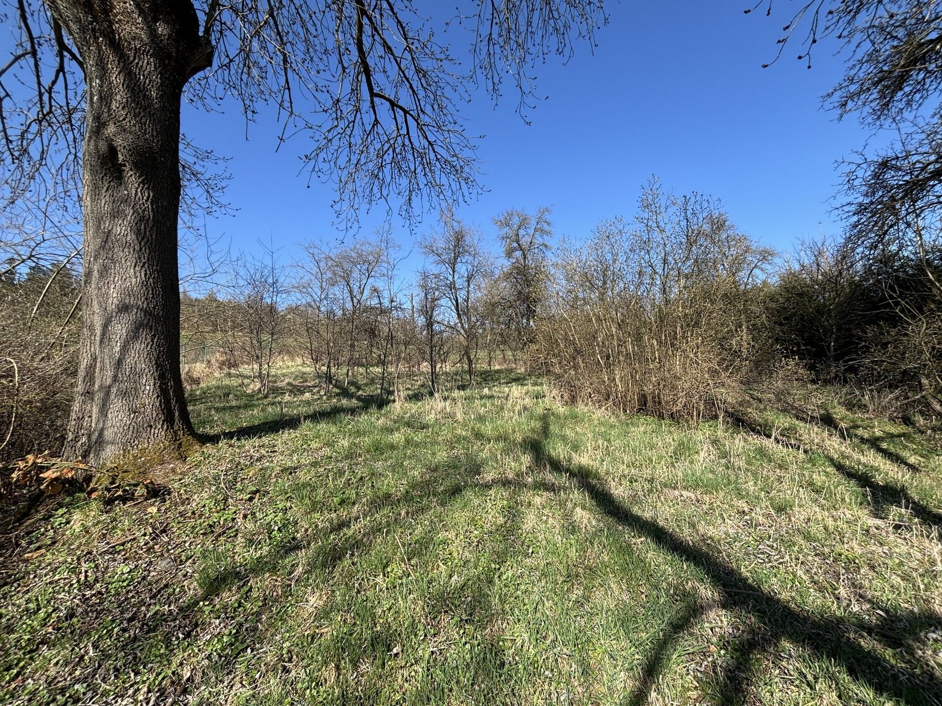 Pozemky pro bydlení, Dlažov