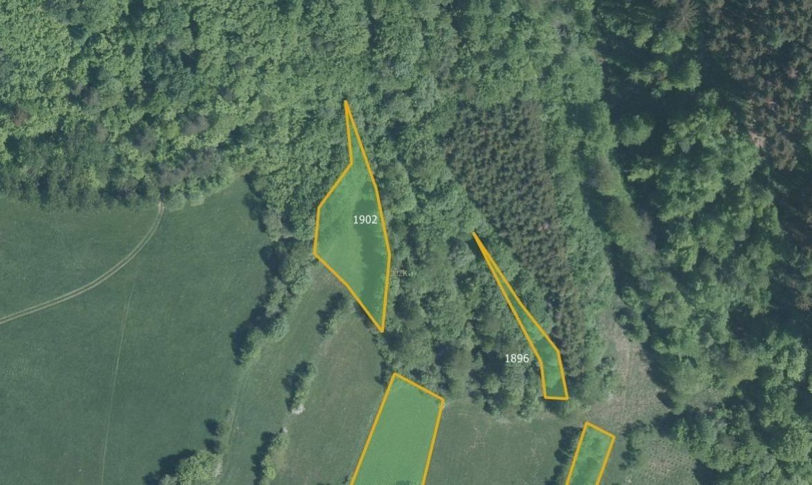 Prodej pozemek pro bydlení - Valašská Polanka, 756 11