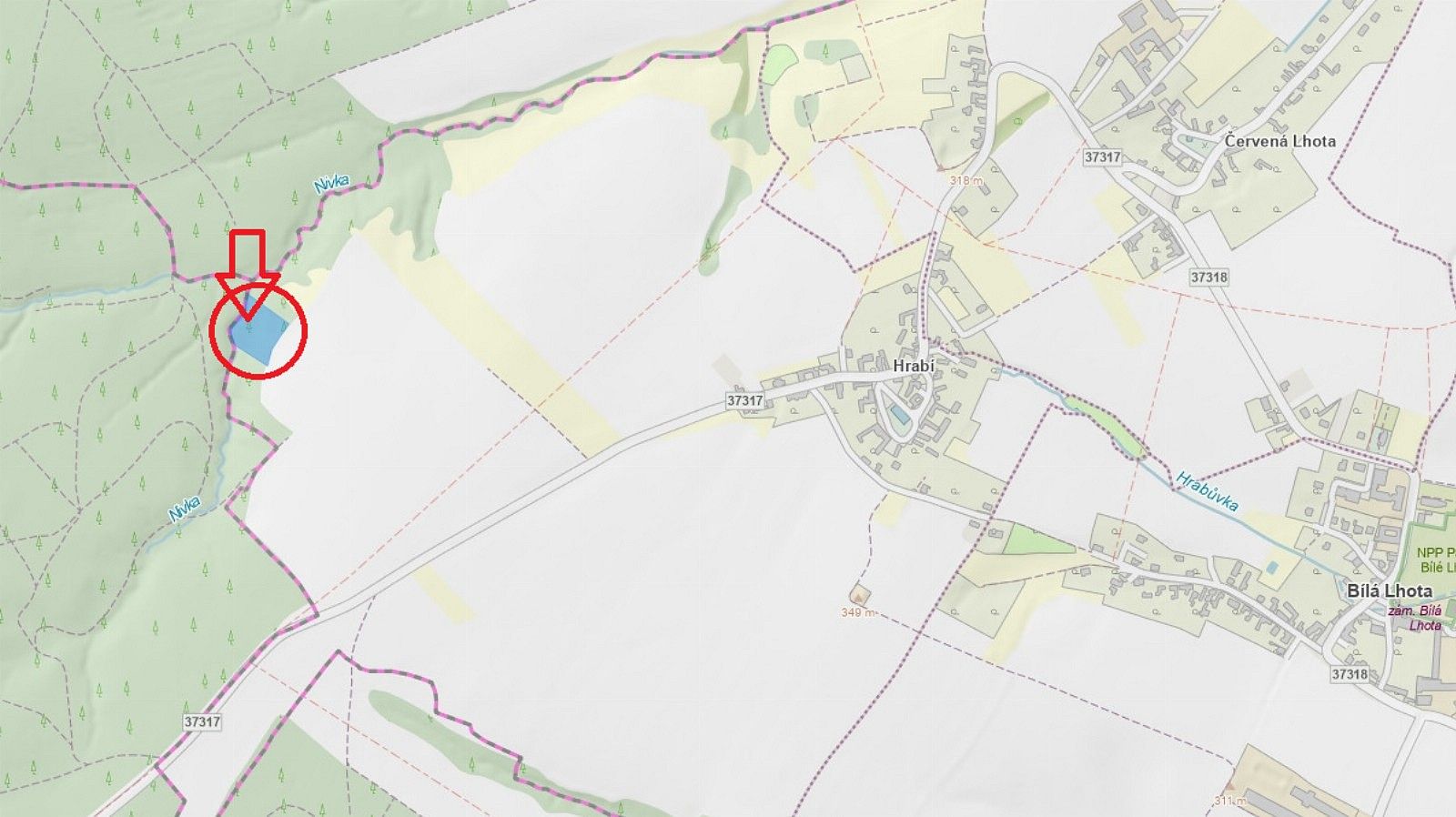 Lesy, Palonín, okres Šumperk, Olomoucký kraj - 1