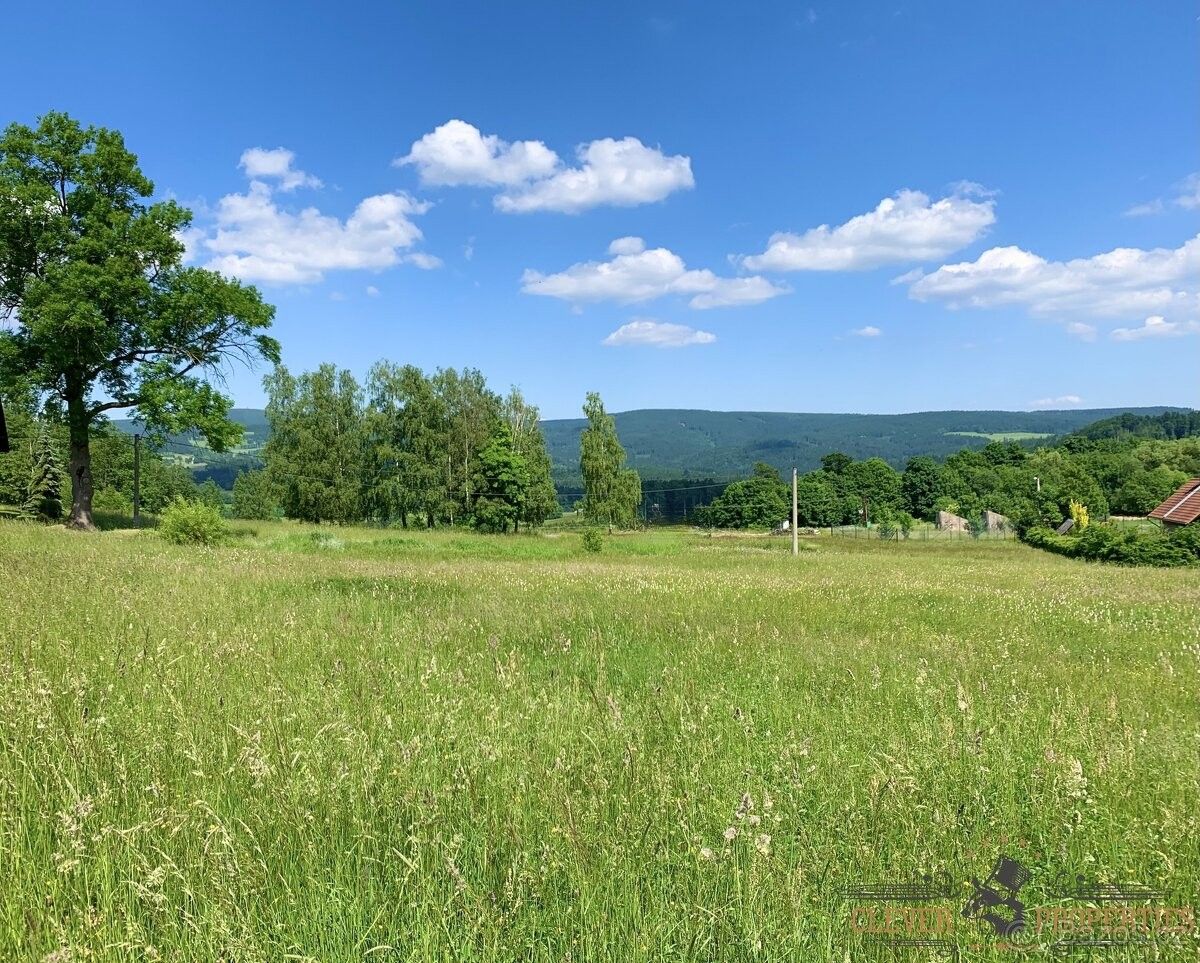 Pozemky pro bydlení, Skuhrov nad Bělou, 517 03