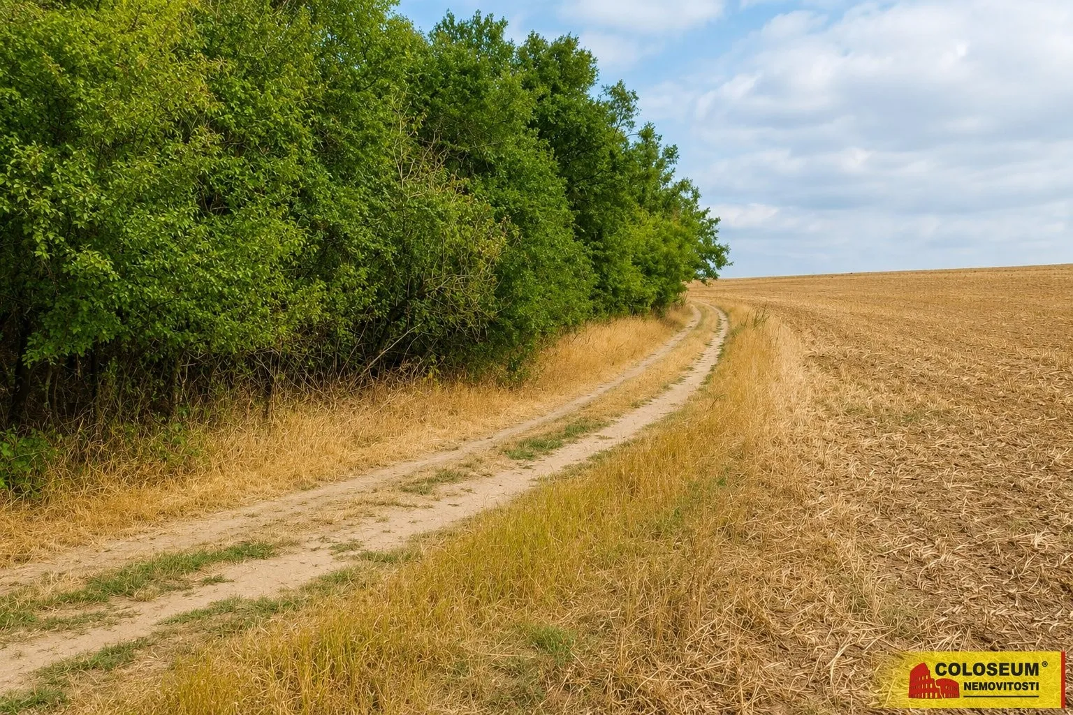 Ostatní