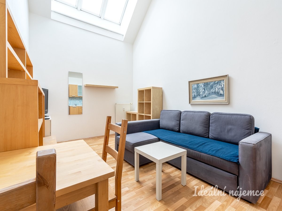 1+kk, Štúrova, Praha, 26 m² - 2