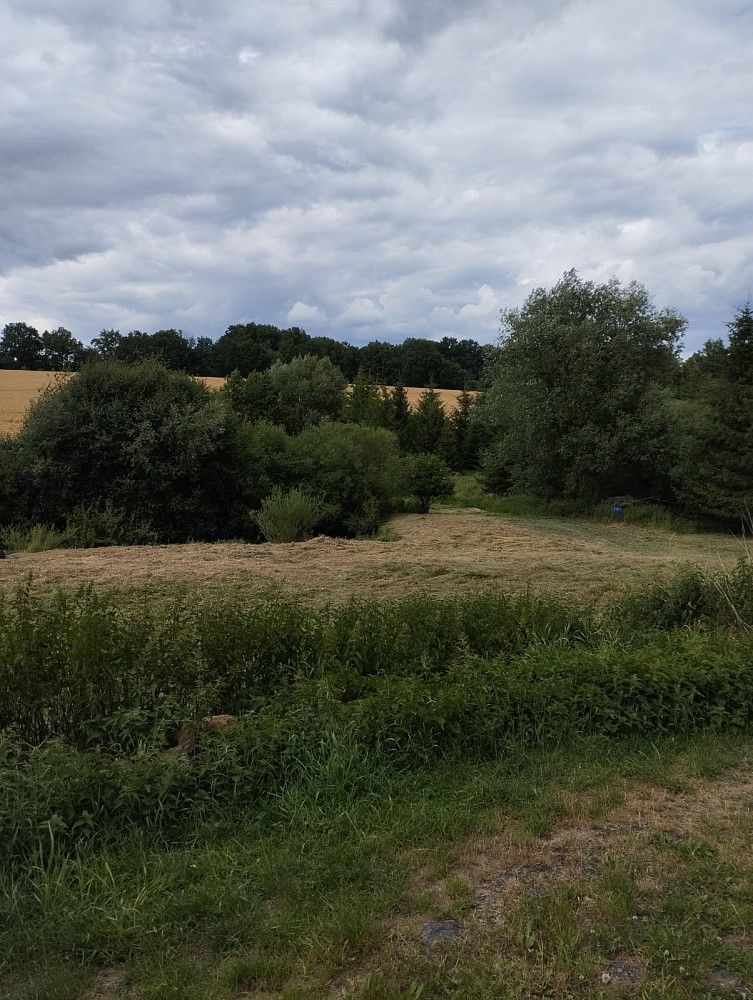 Pronájem louka - Líšťany - Košetice, okres Plzeň-sever, Plzeňský kraj - 5