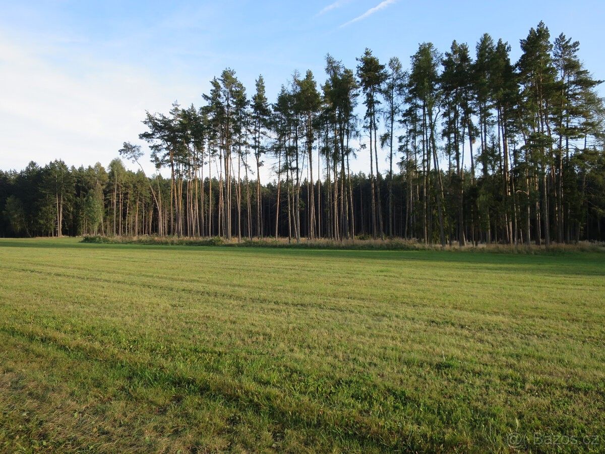 Pozemek pro bydlení · 391 32, Tábor - 3
