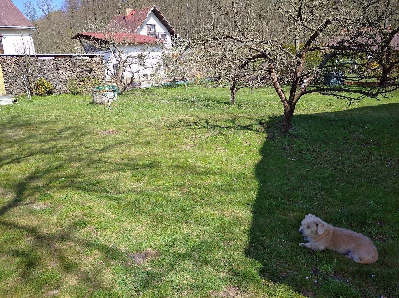 Chata · Velký Vřešťov, Královéhradecký kraj - 3