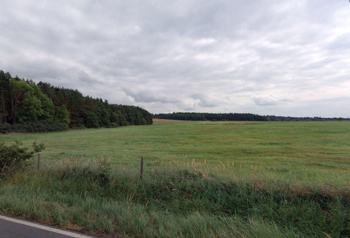 Zemědělský pozemek · 12 536 m² · Struhaře, Spálené Poříčí - 3