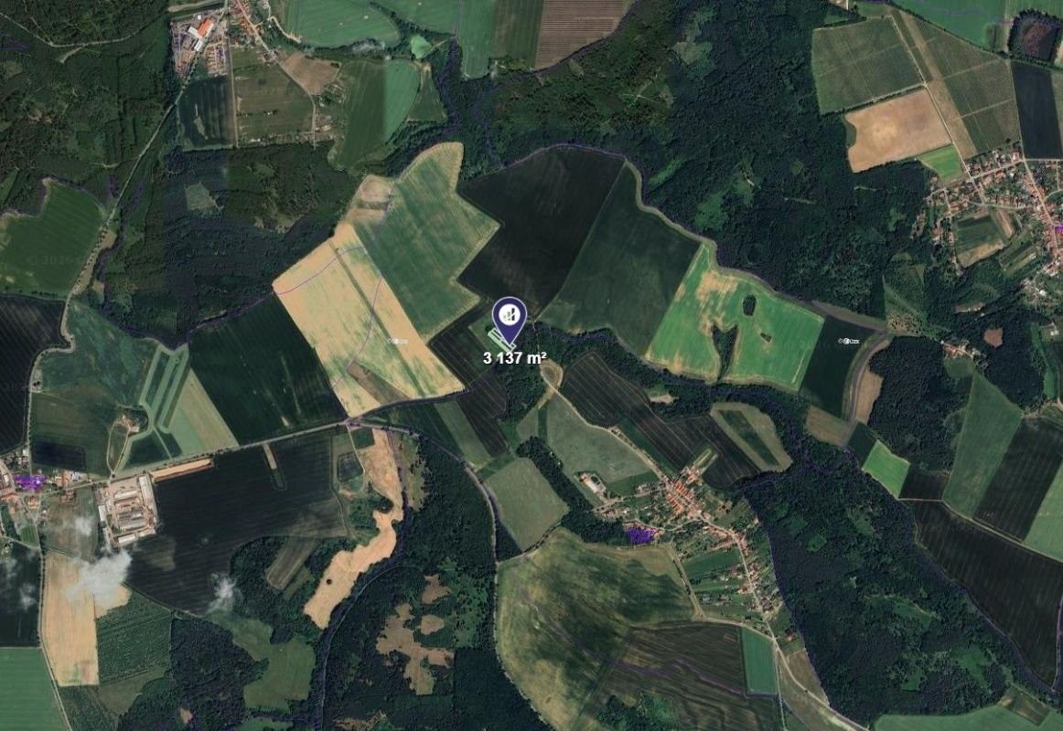 Zemědělský pozemek · 3 137 m² · Určice - 2