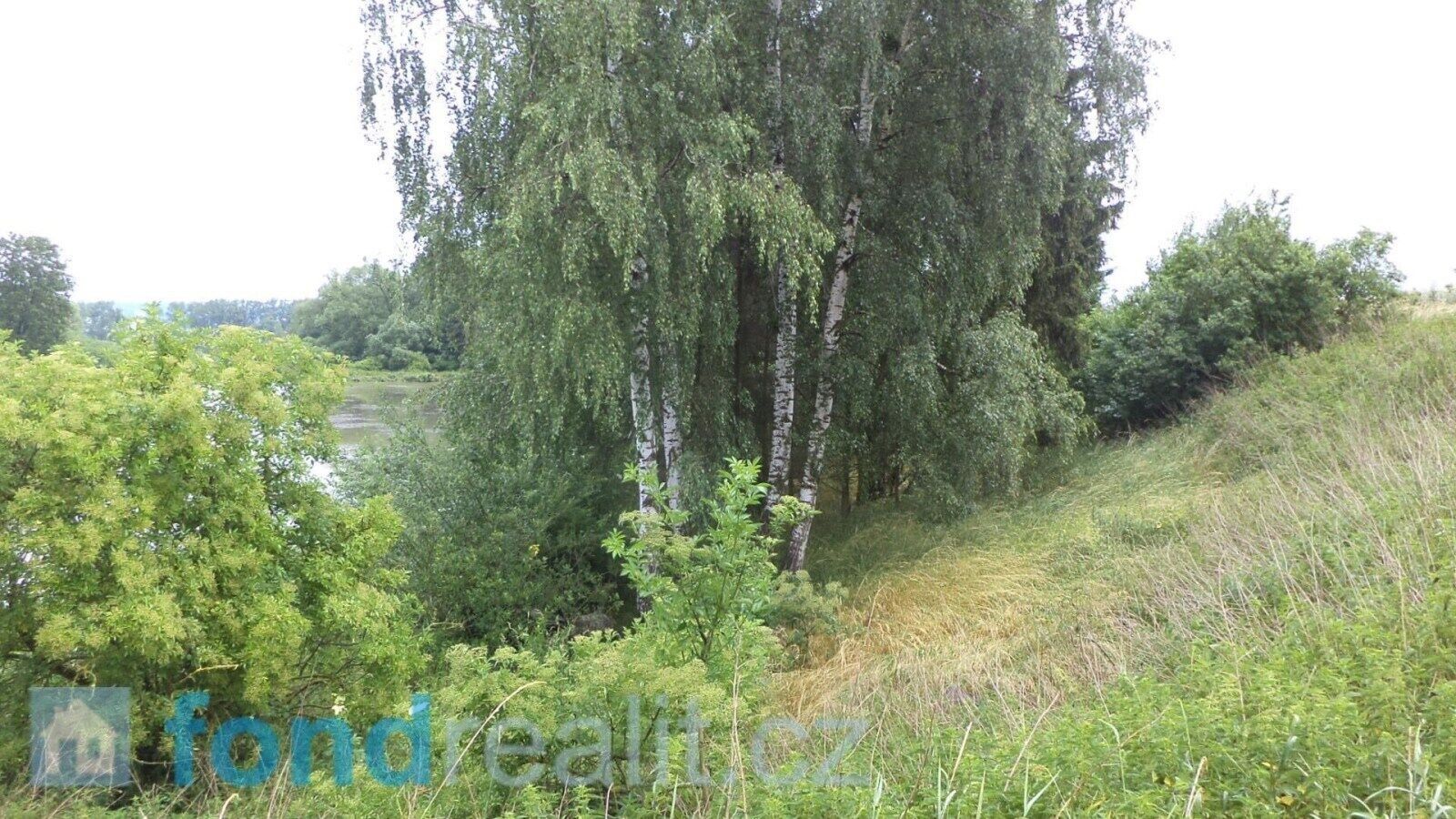 Prodej pozemek - Třebařov, 4 m²