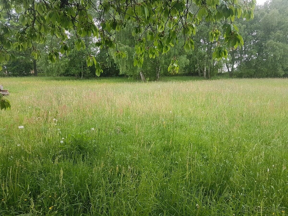 Prodej pozemek pro bydlení - Řehořov, 588 24