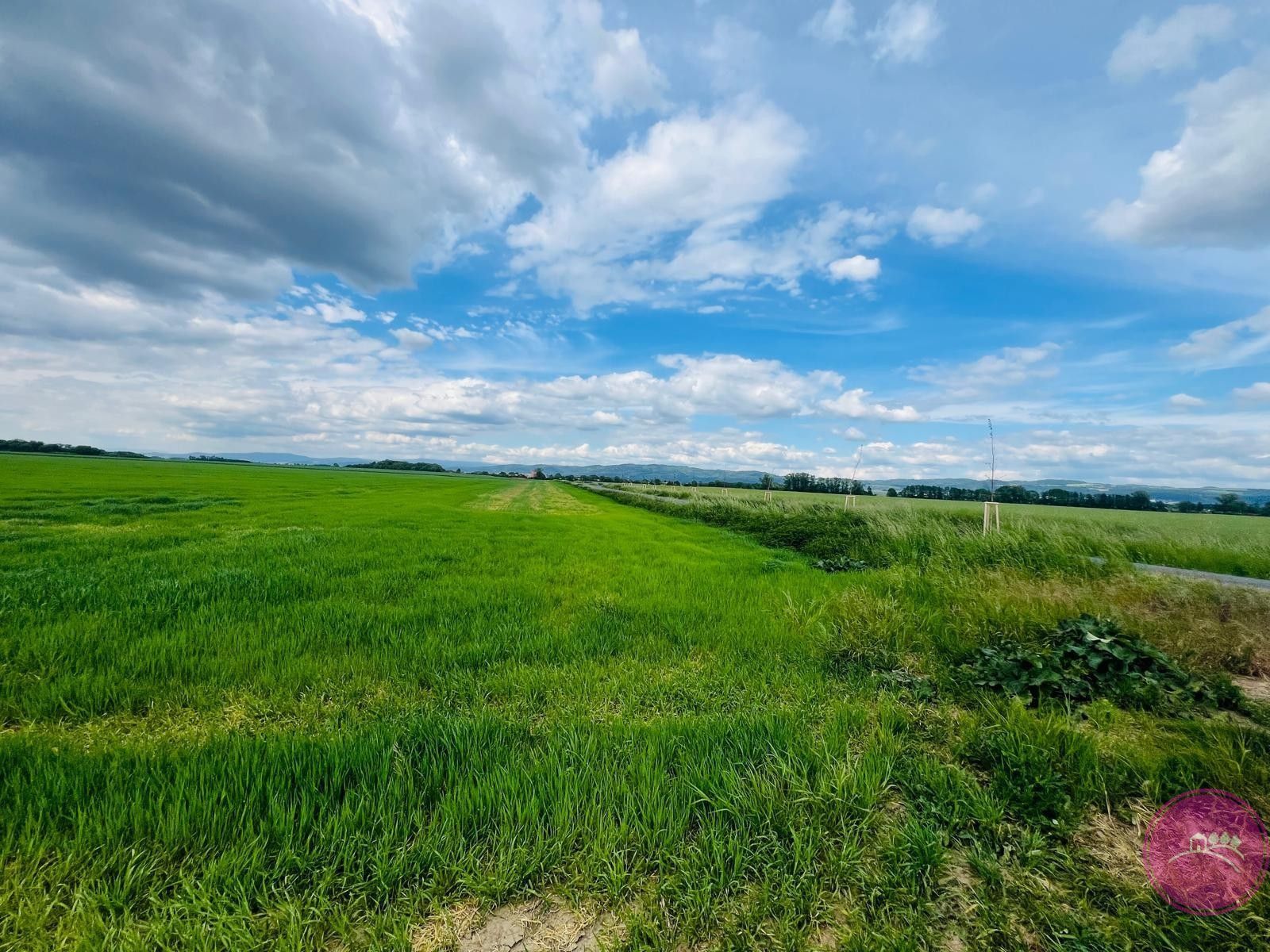 Komerční pozemek · 29 280 m² · Liboš - 3