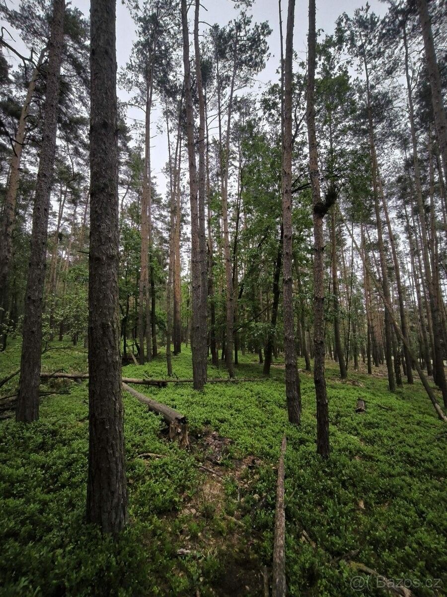 Prodej pozemek pro bydlení - Byšice, 277 32 - 5
