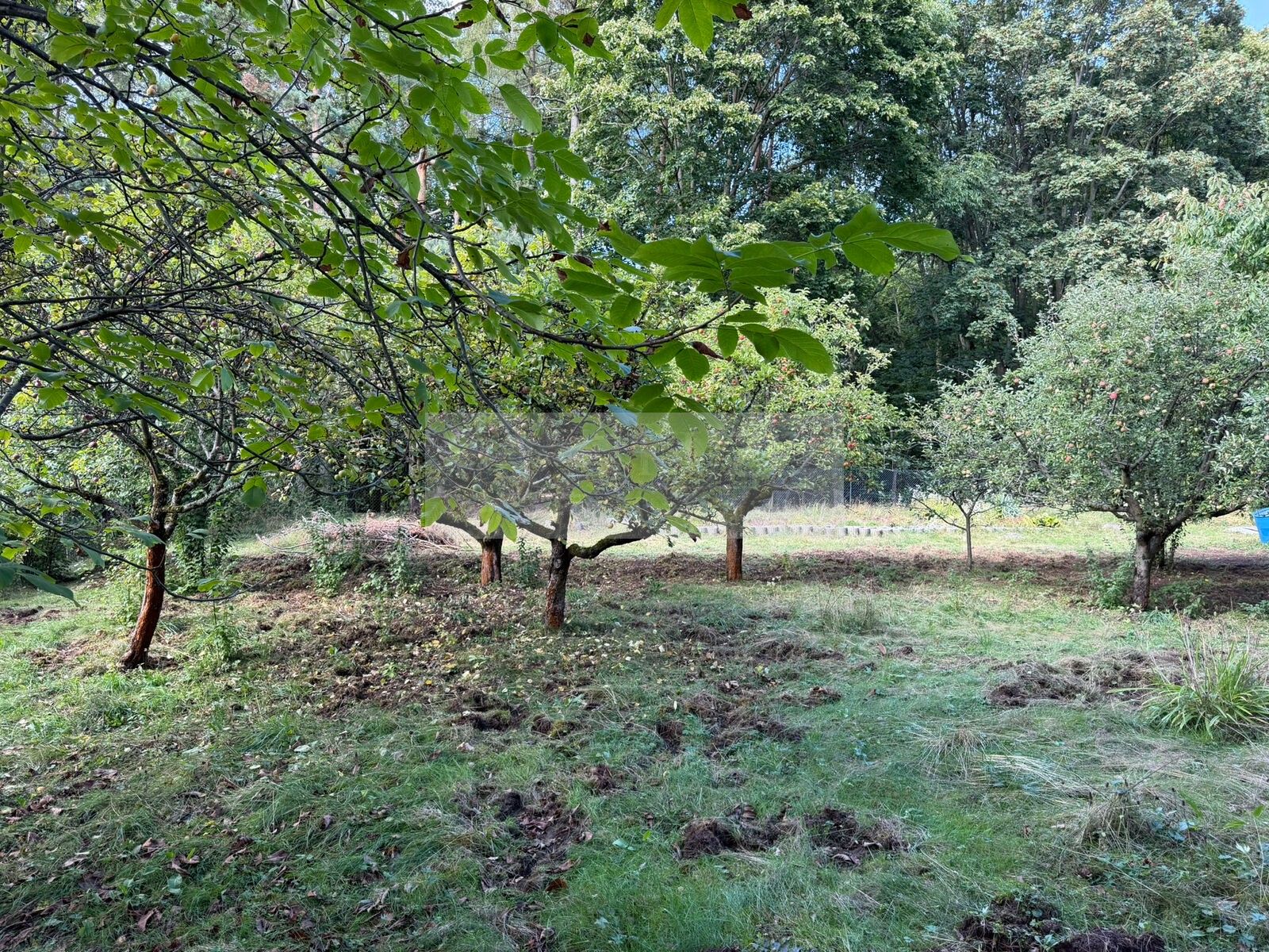 Chaty, Hrobčice, 63 m² - 2