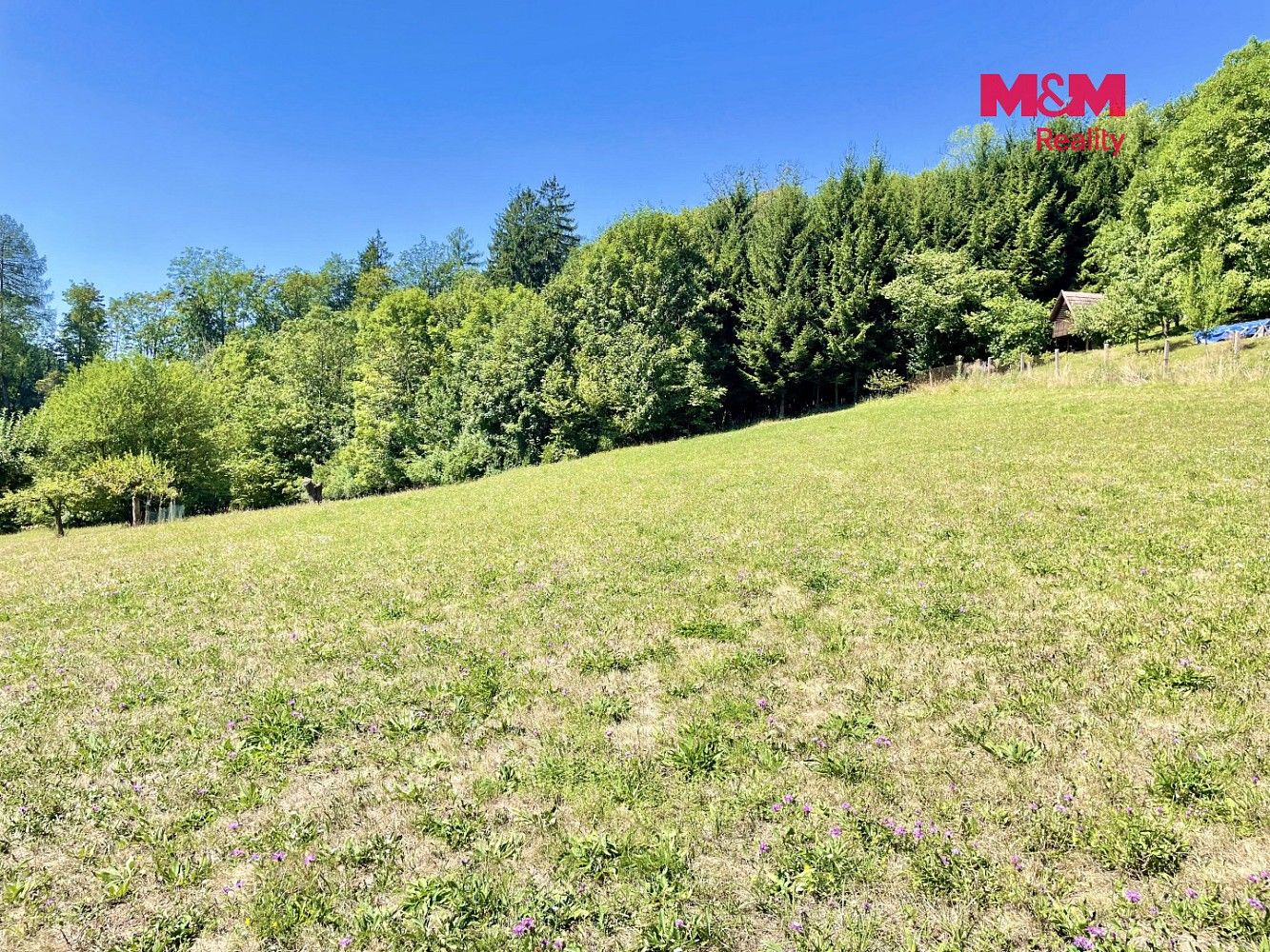 Prodej pozemek pro bydlení - Šedivec, okres Ústí nad Orlicí - 5