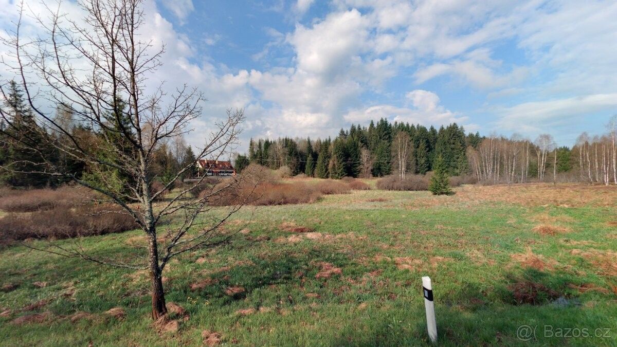 Pozemky pro bydlení, Vyšší Brod, 382 73