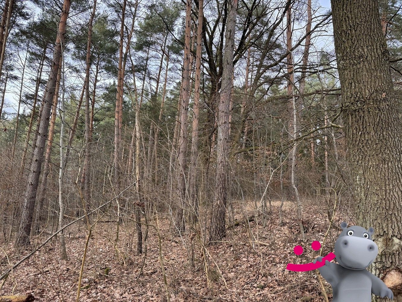Lesy, Lutonina, okres Zlín, Zlínský kraj