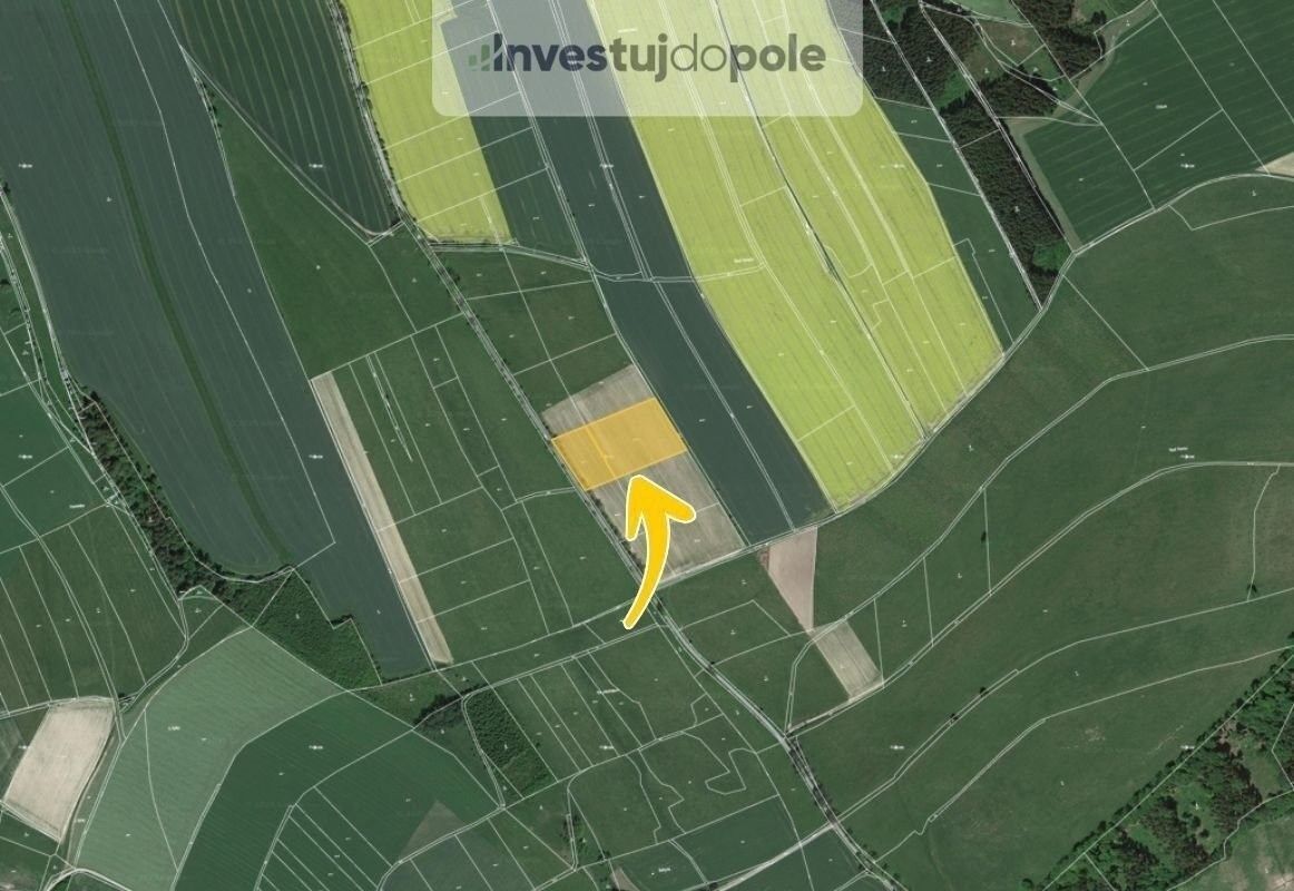 Prodej zemědělský pozemek - Police nad Metují, 11 873 m²