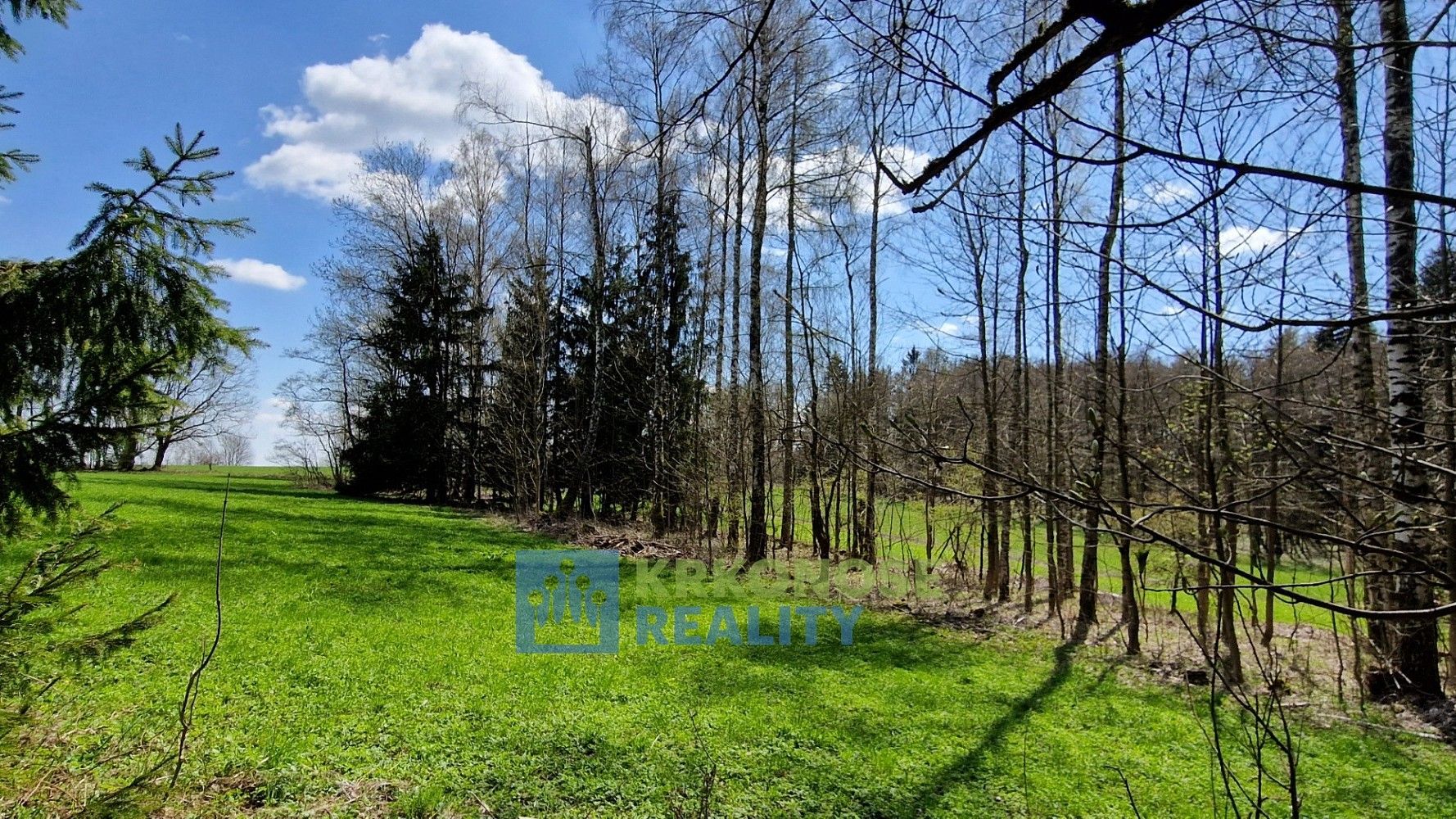 Prodej pozemek - Černý Důl - Čistá v Krkonoších, okres Trutnov - 5