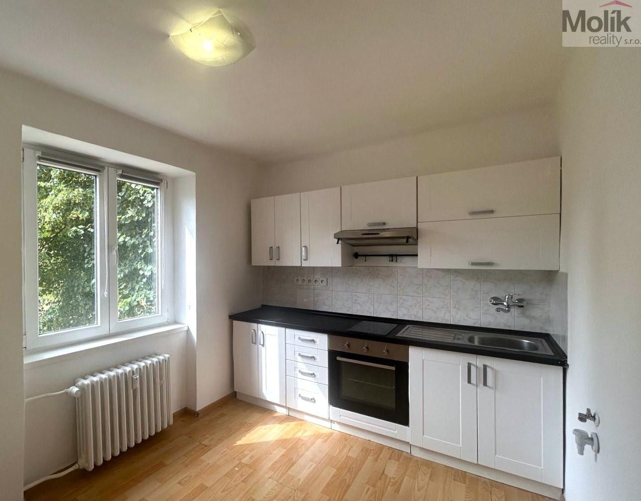 1+1, Lesní, Most, 30 m²