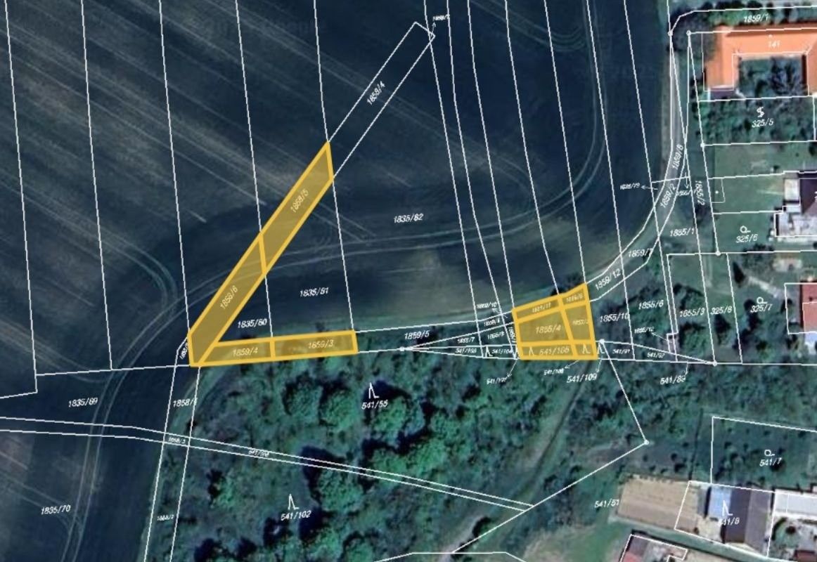 Pronájem les - Morašice, 1 918 m²