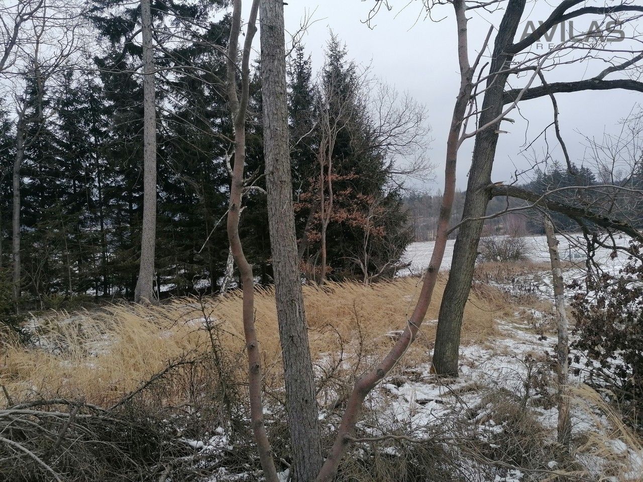 Prodej les - Hory, Votice, 11 862 m²