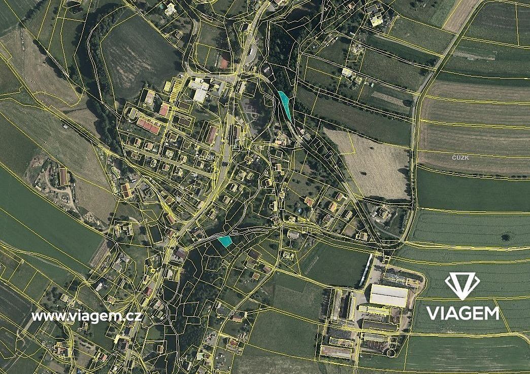Les · Výprachtice, okres Ústí nad Orlicí - 3