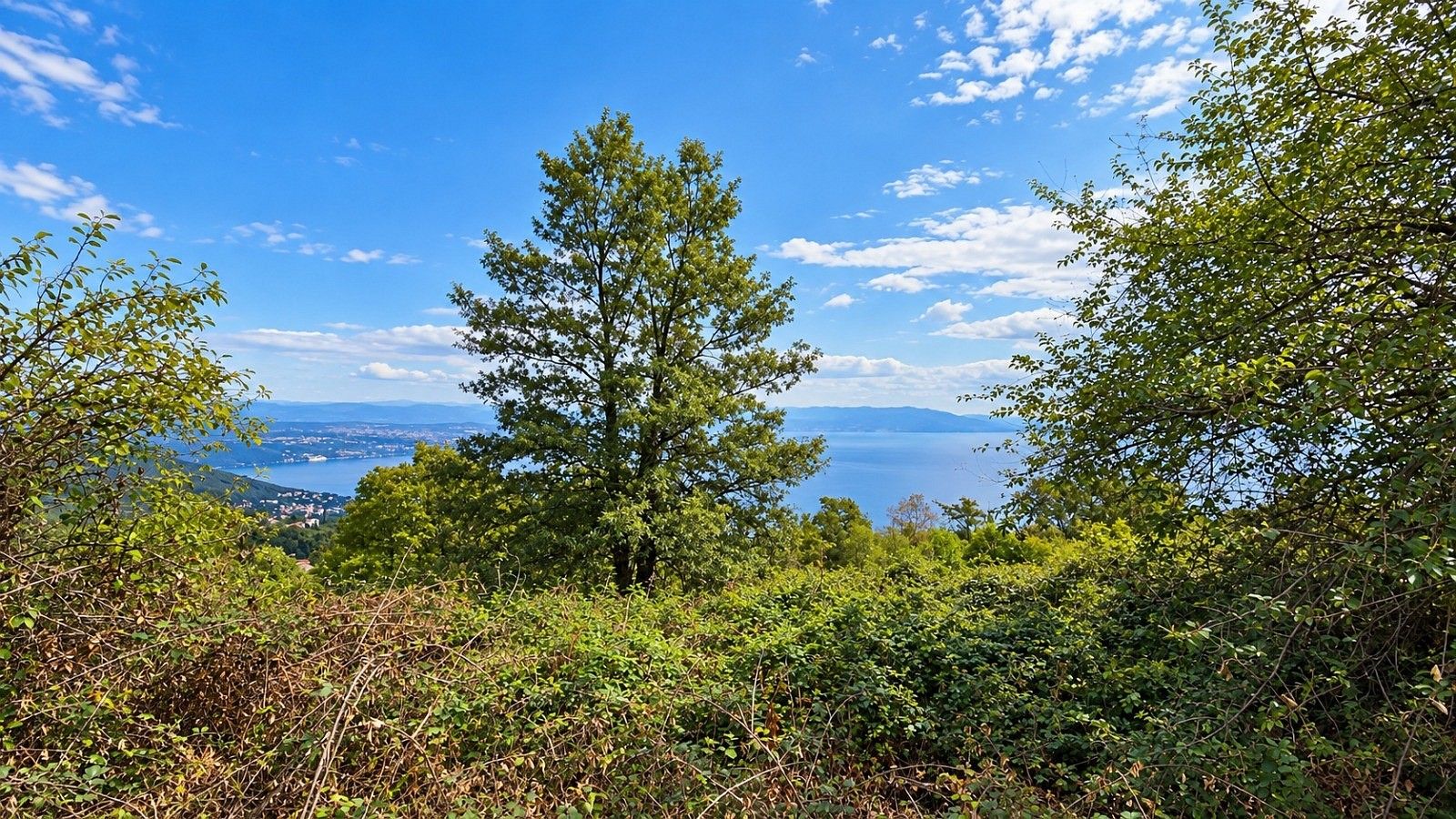 Rodinný dům · 65 m² · Opatija - Okolica, Primorsko-goranska županija, Chorvatsko - 3