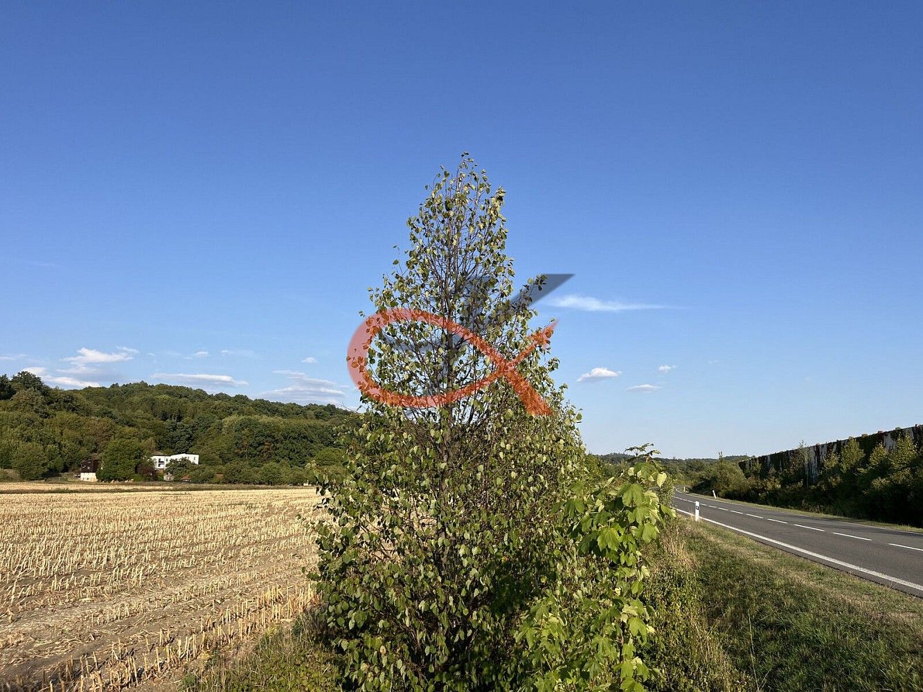 Zemědělský pozemek · Lešná, okres Vsetín, Zlínský kraj - 4
