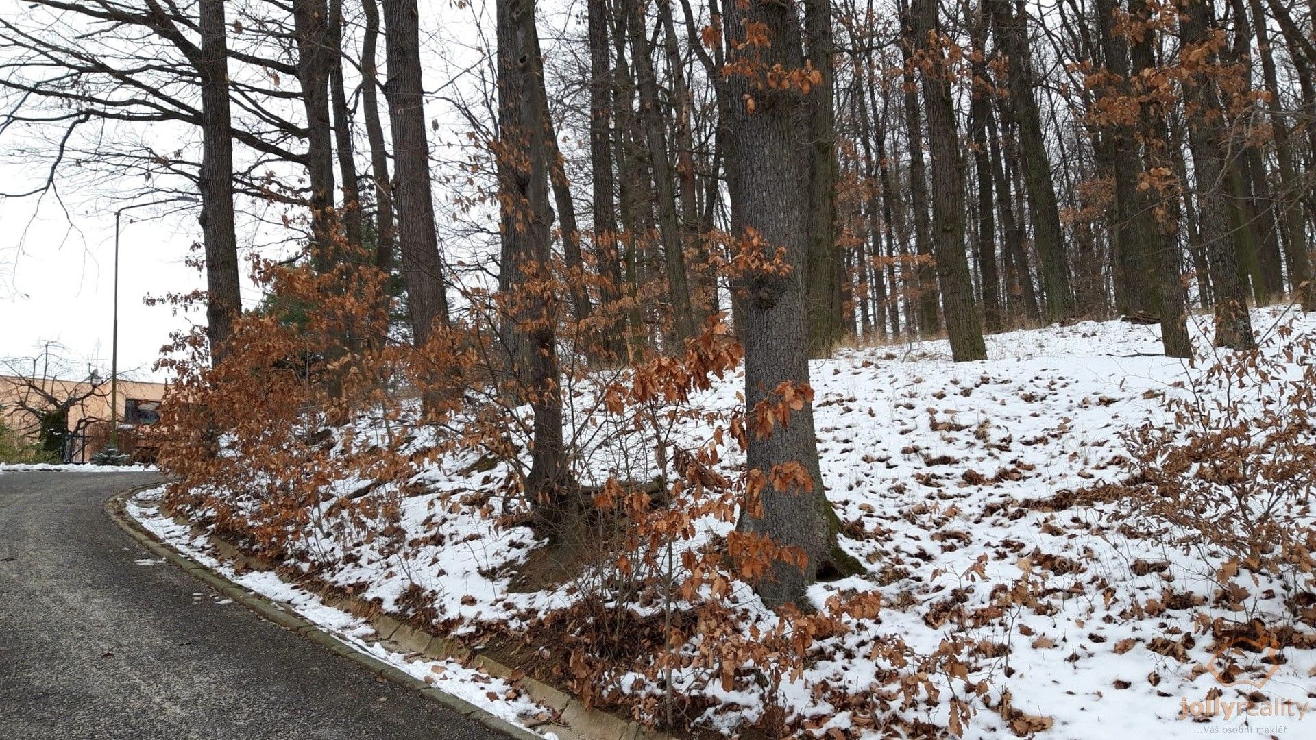 Ostatní, Luhačovice, 10 031 m²