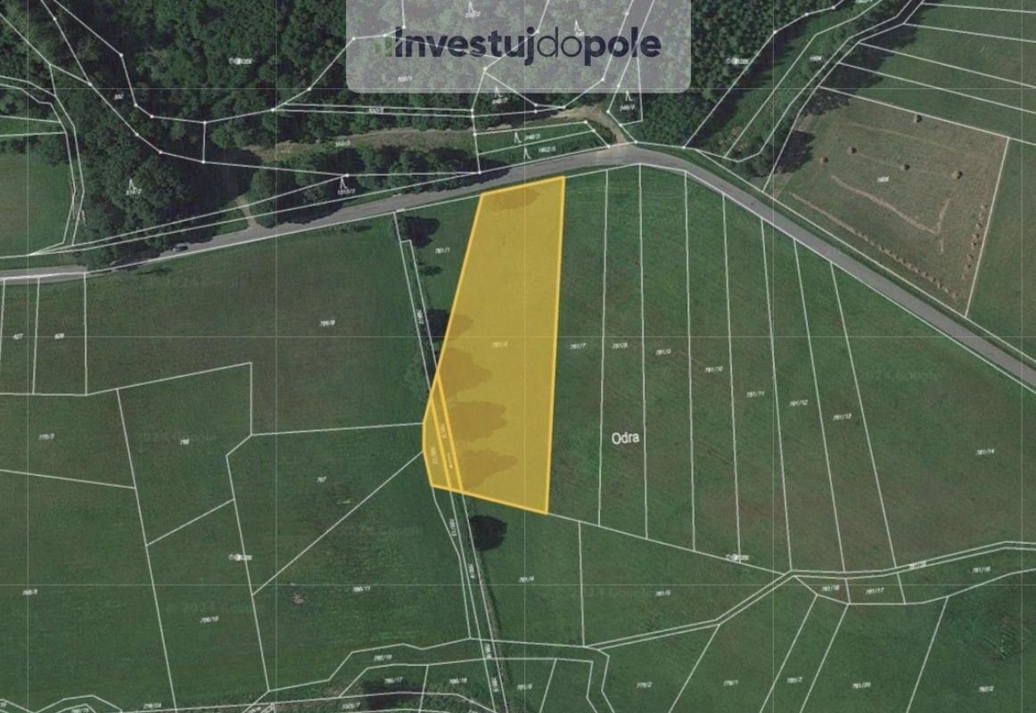 Prodej zemědělský pozemek - Moravská Třebová, 571 01, 5 467 m²