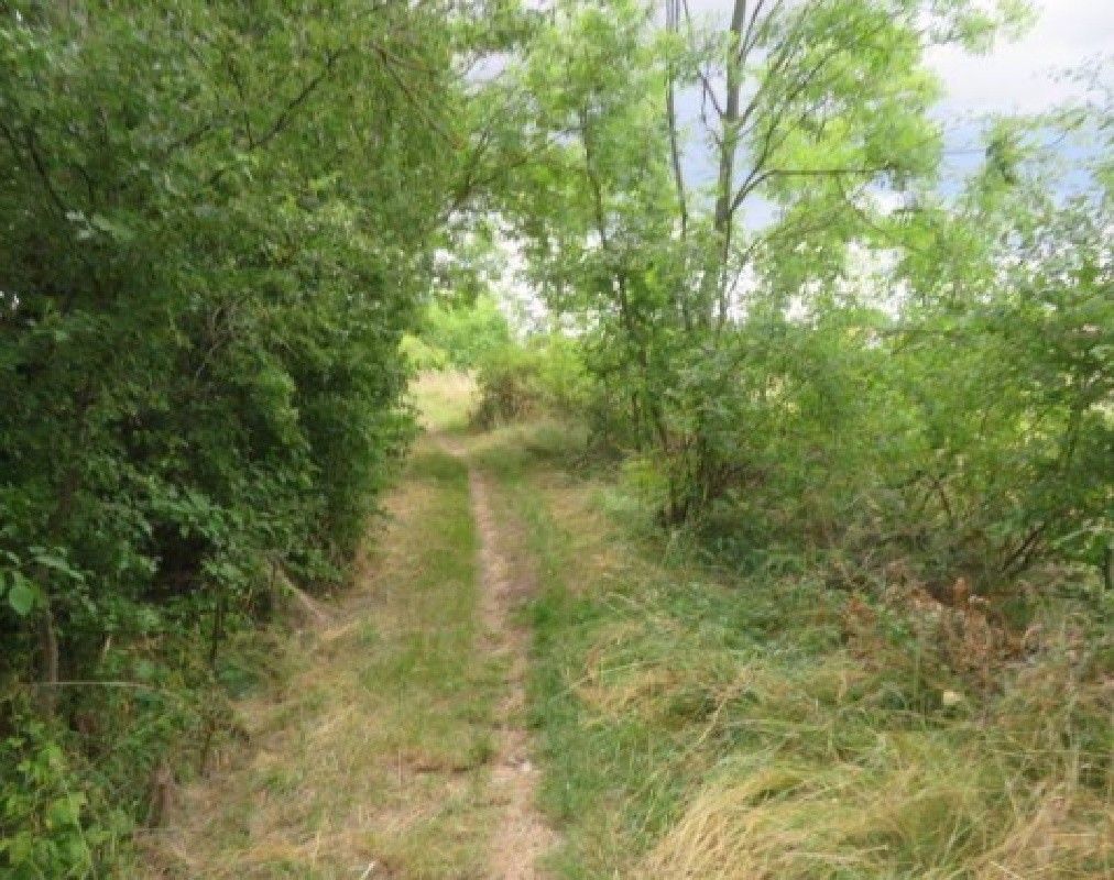 Pozemky pro bydlení, Úhonice, 252 18