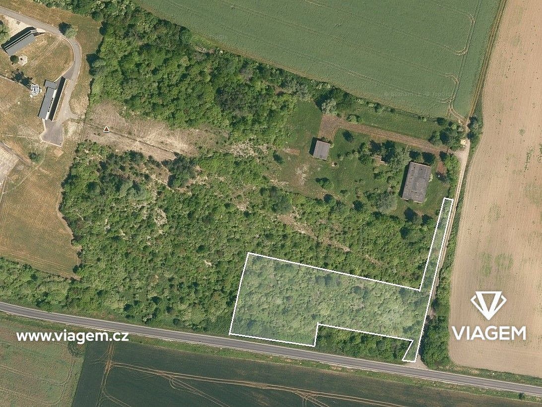Zemědělský pozemek · Dolní Slivno, okres Mladá Boleslav, Středočeský kraj - 3