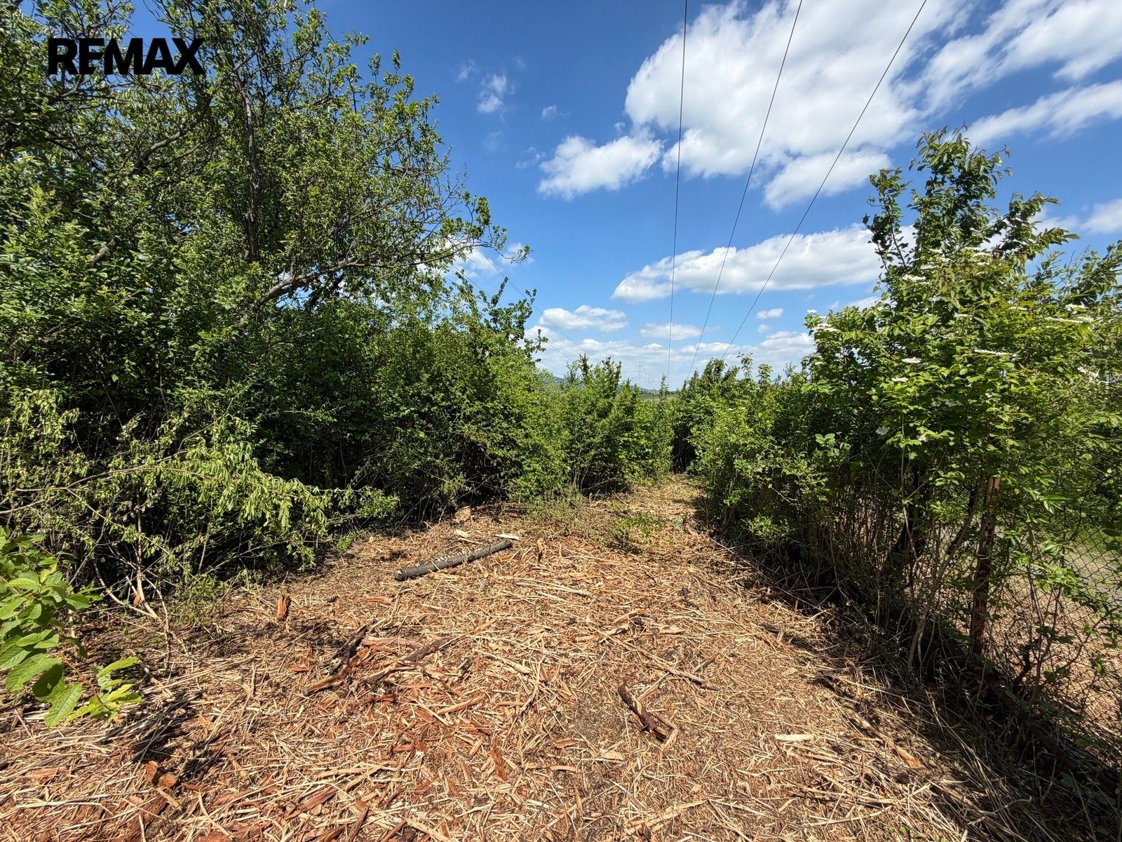 Zahrada · 851 m² · Lipník nad Bečvou - 4