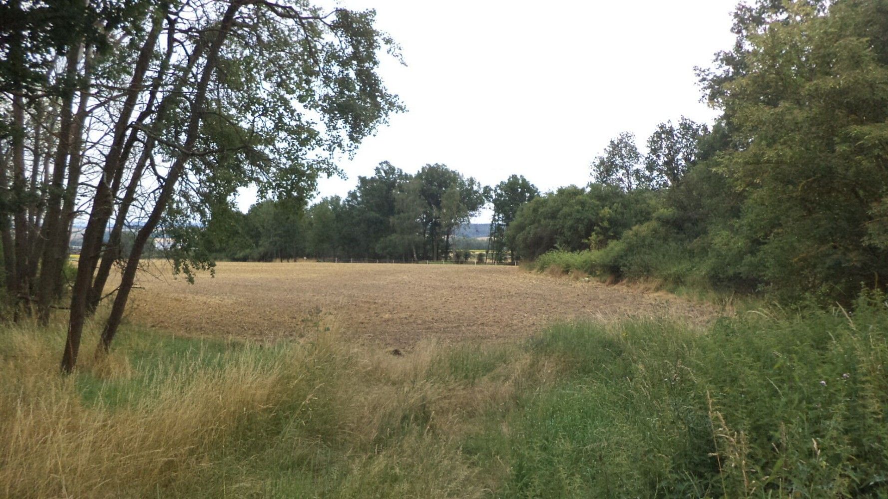 Zahrada, 1 100 m²