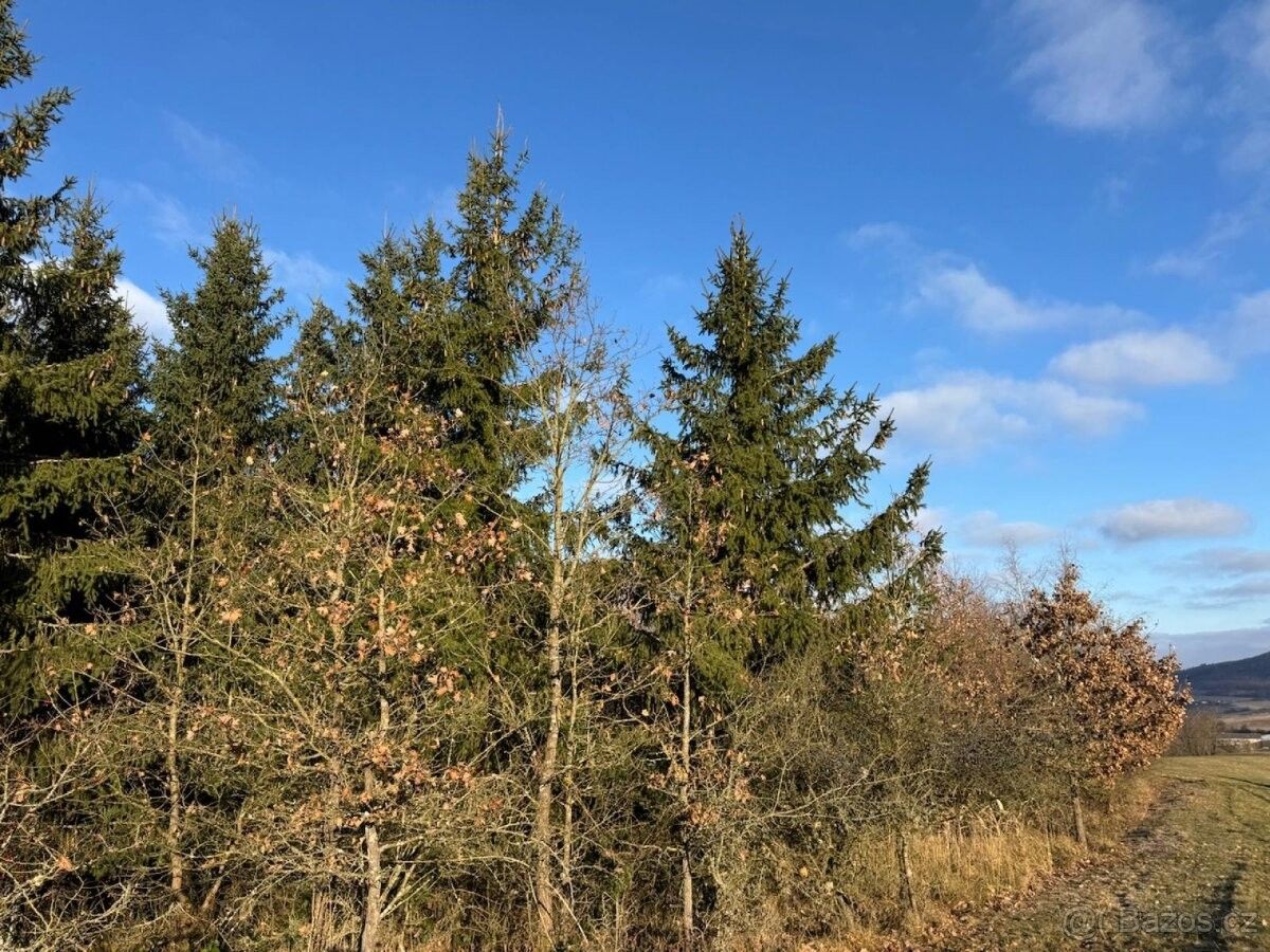 Pozemky pro bydlení, Klatovy, 339 01