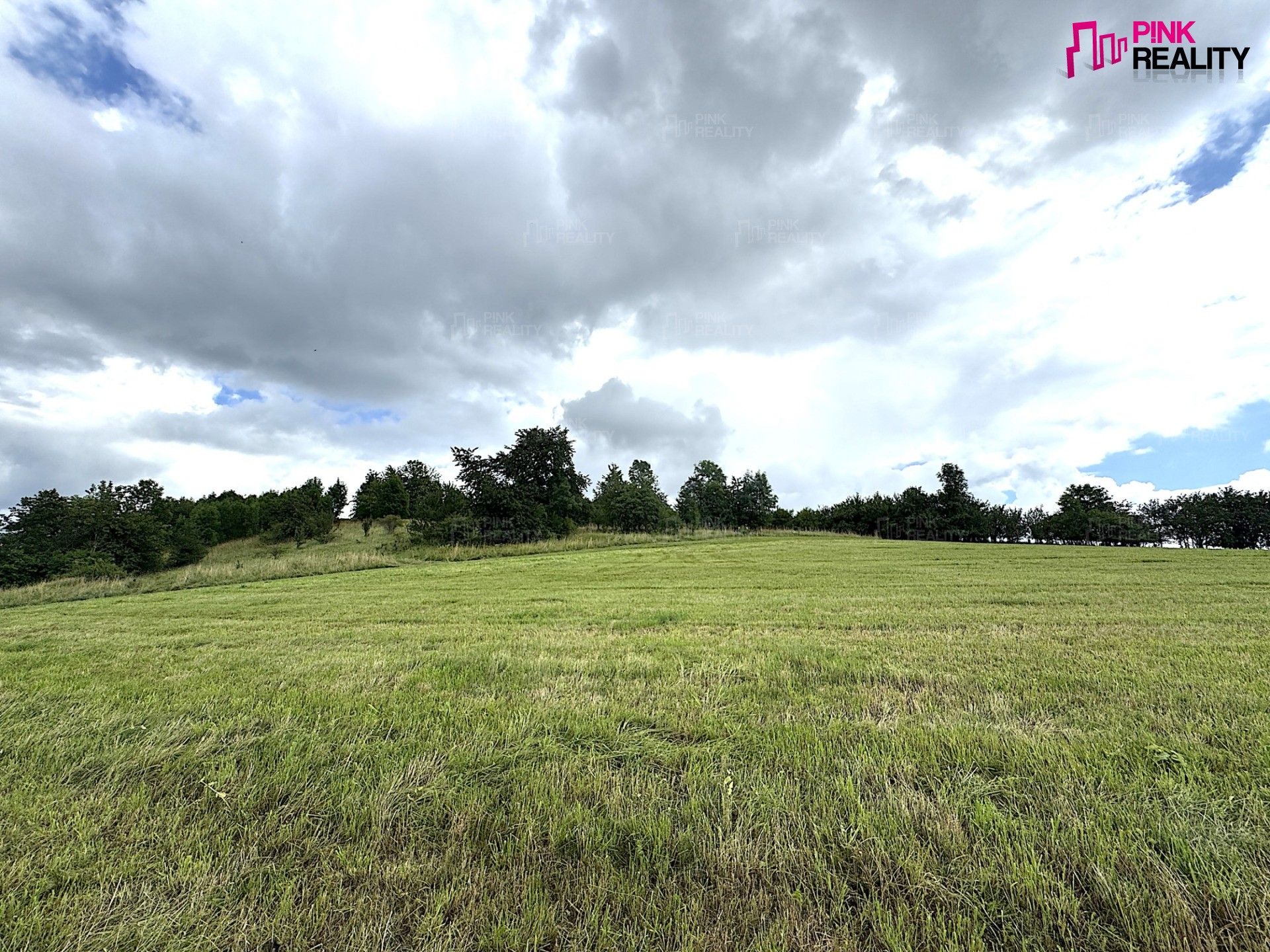 Louky, Rychnov nad Kněžnou, 16 663 m² - 2