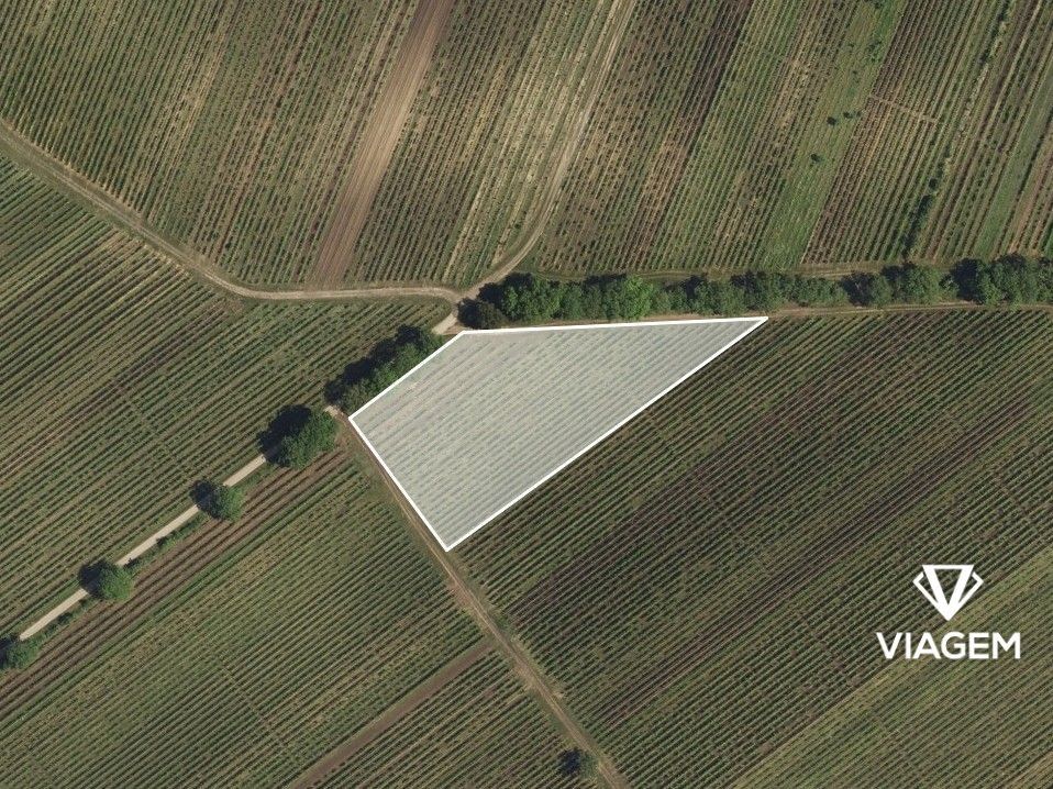 Pozemky pro bydlení, Velké Bílovice, 691 02 - 2