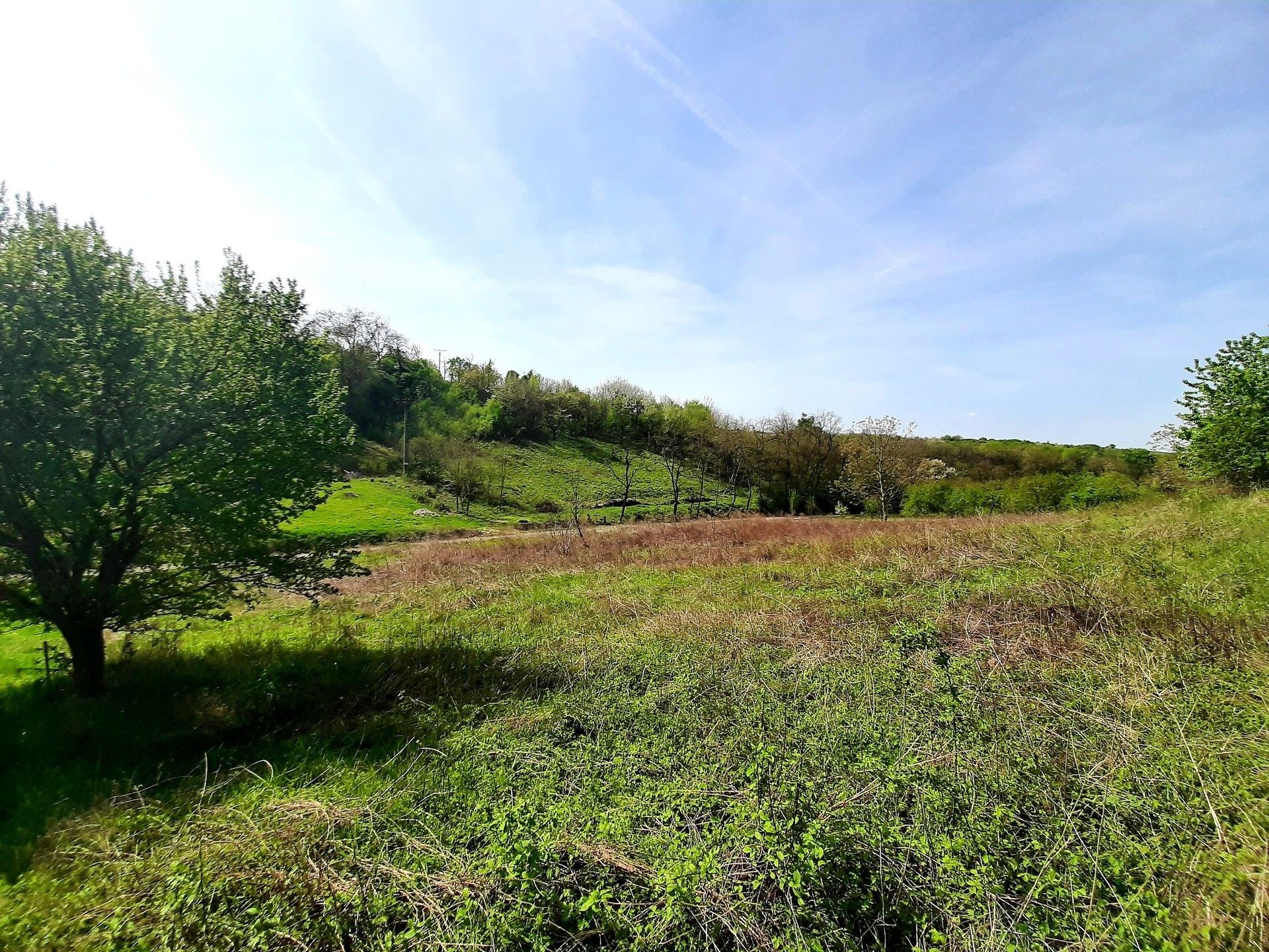 Prodej pozemek pro bydlení - Nenkovice