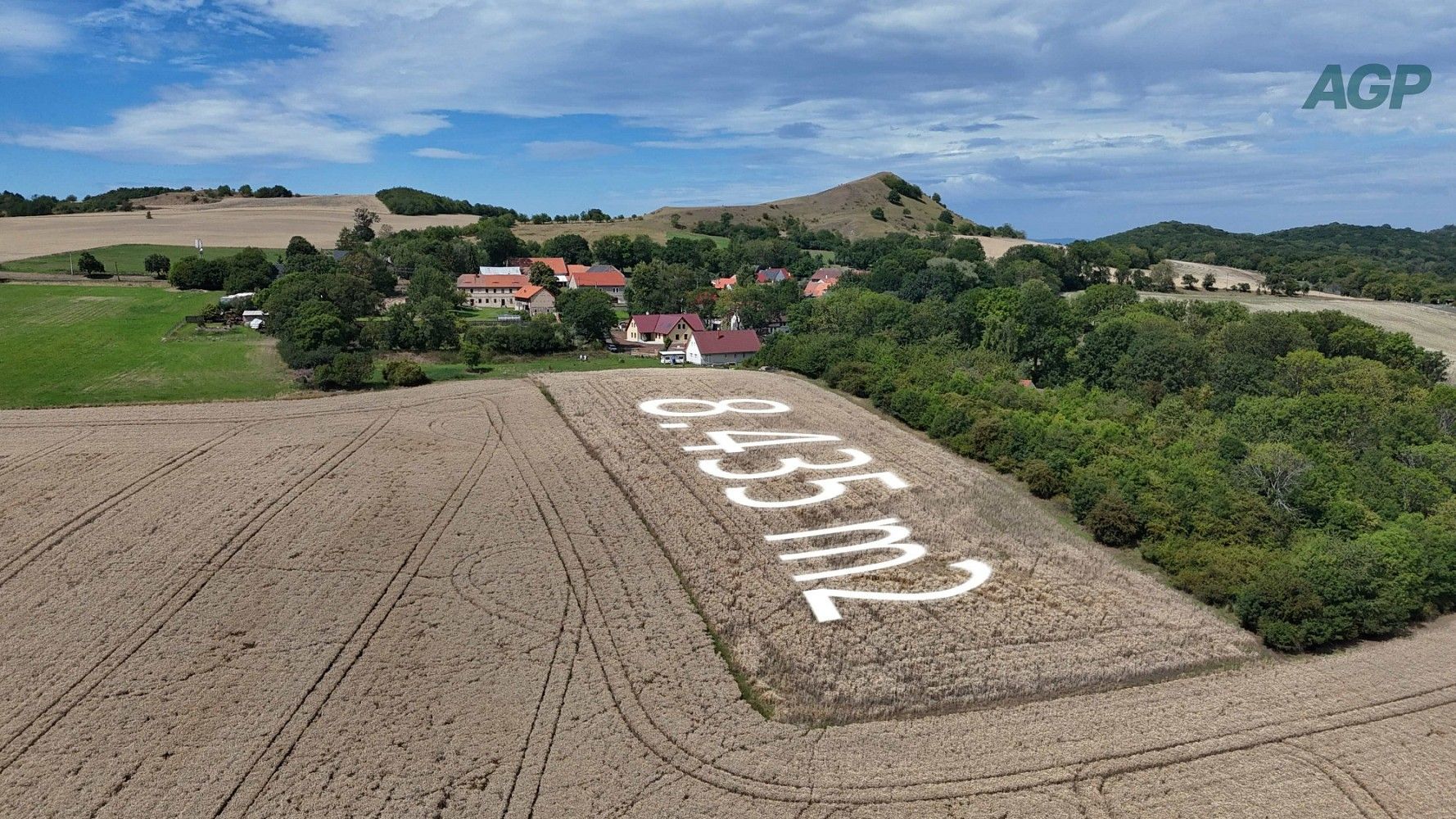 Prodej zemědělský pozemek - Libčeves - Hořenec, okres Louny - 5
